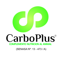 CarboPlus_Logo CarboPlus_Logo